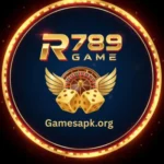 r789 game