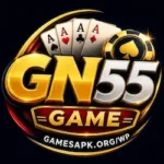 GN55 Game